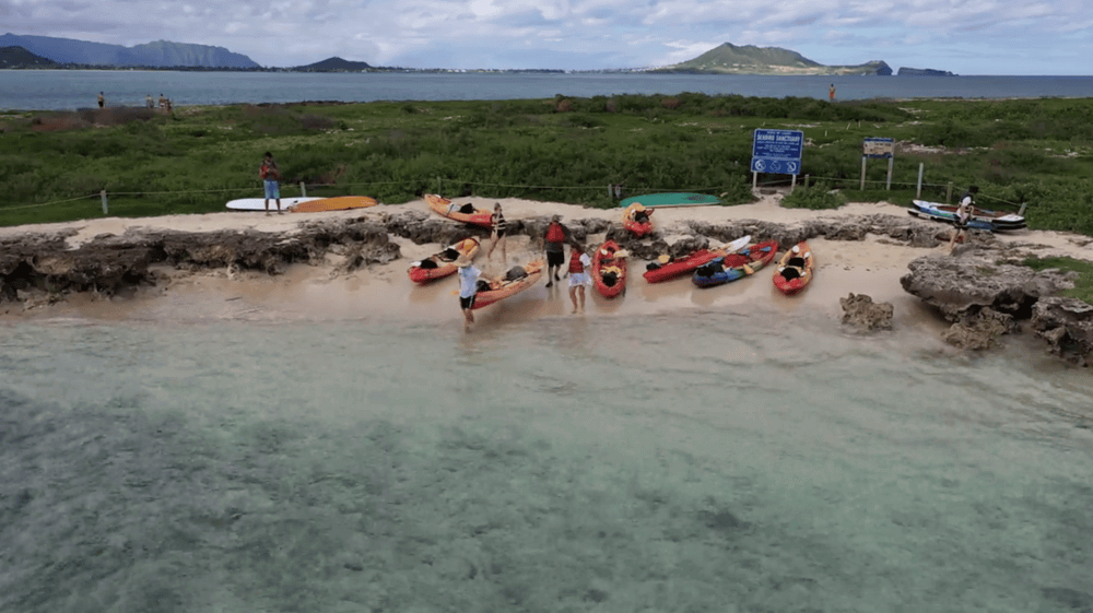 A group of people land on Popoia Island with their kayak rentals from Active Oahu